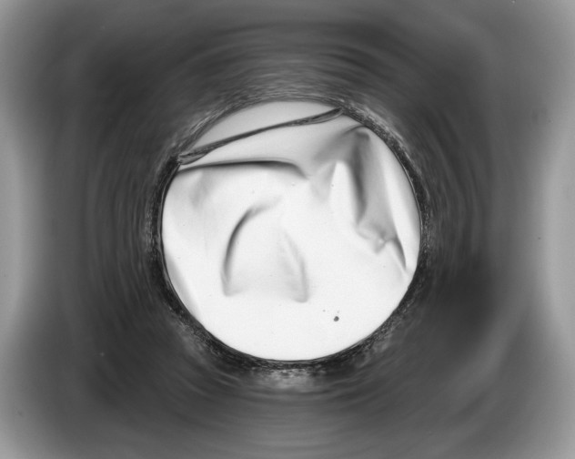 X0000086270353200704262021