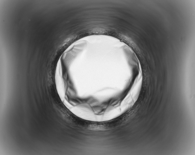 X0000086270354200704262021