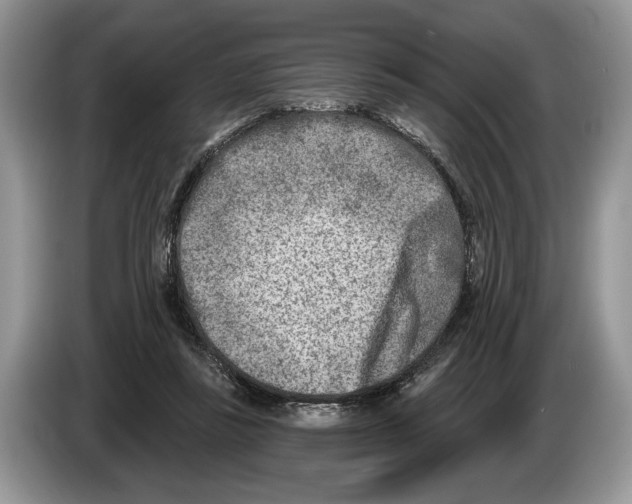 X0000086270355200704262021