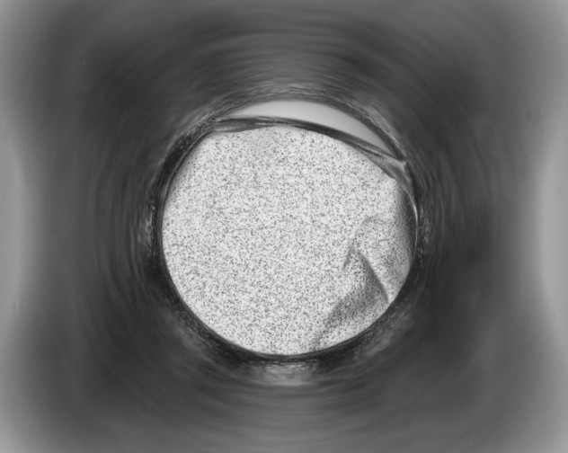 X0000086270357200704262021