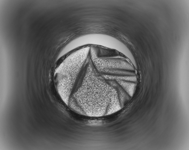 X0000086270362200704262021