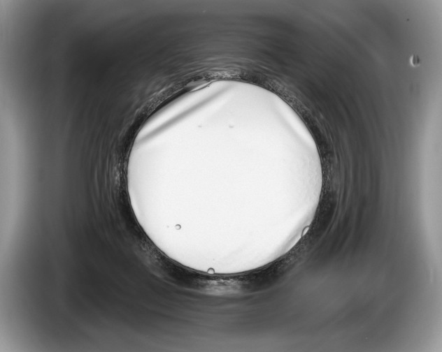 X0000086270363200704262021