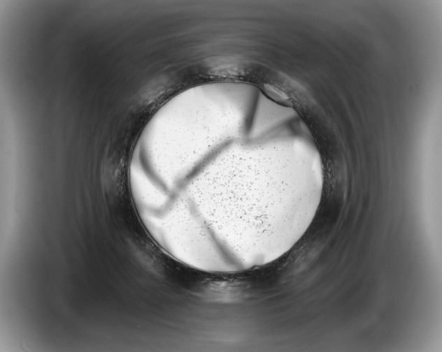 X0000086270364200704262021