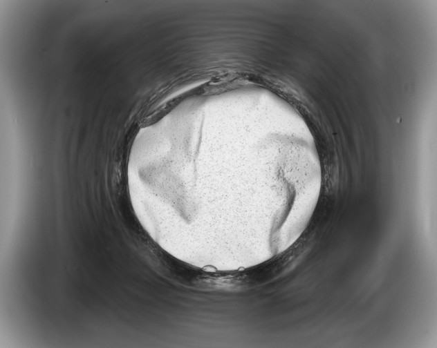 X0000086270365200704262021