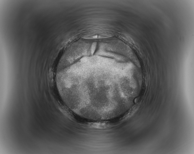 X0000086270366200704262021