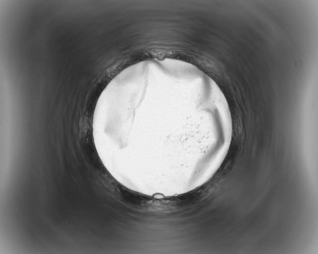 X0000086270367200704262021