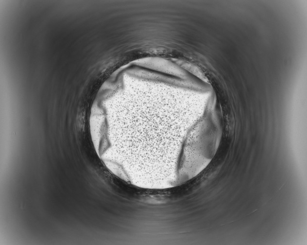 X0000086270368200704262021