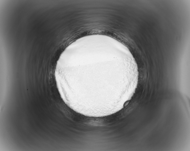 X0000086270369200704262021