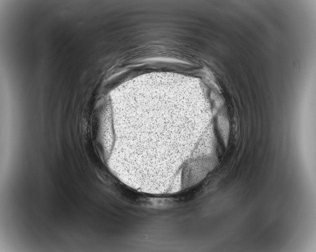 X0000086270371200704262021