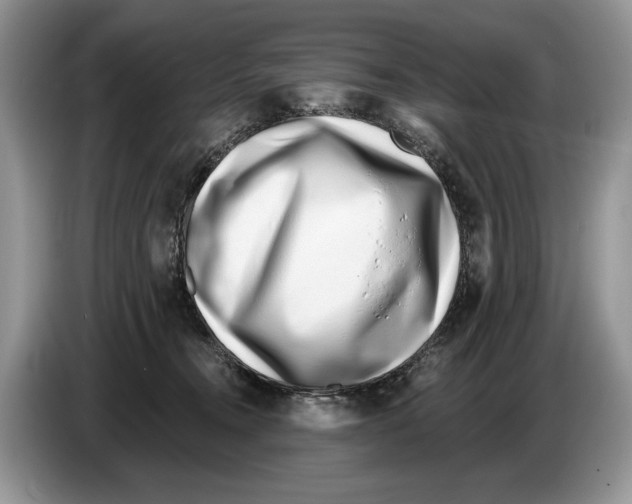 X0000086270372200704262021
