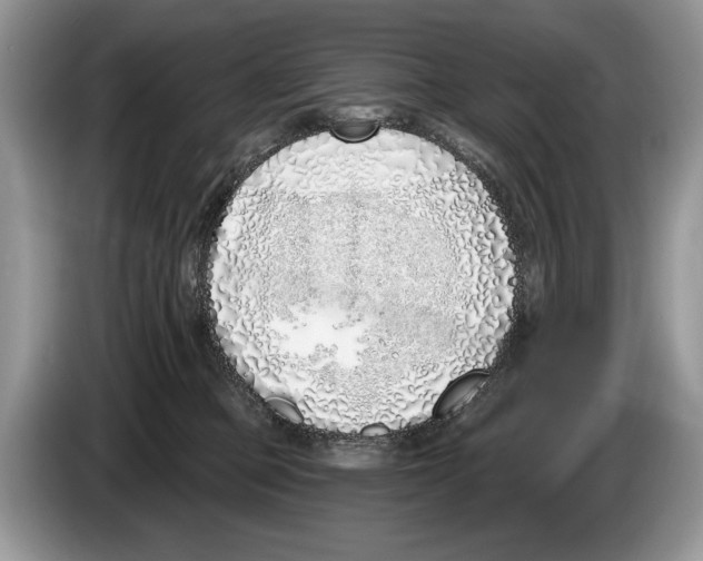 X0000086270373200704262021