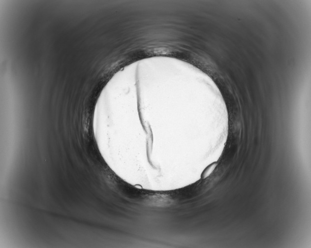 X0000086270374200704262021