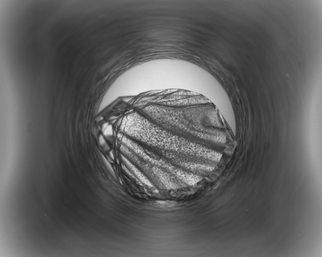 X0000086270376200704262021