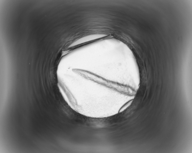X0000086270377200704262021
