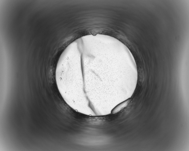 X0000086270378200704262021
