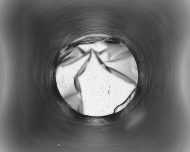 X0000086270379200704262021