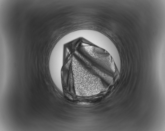 X0000086270380200704262021