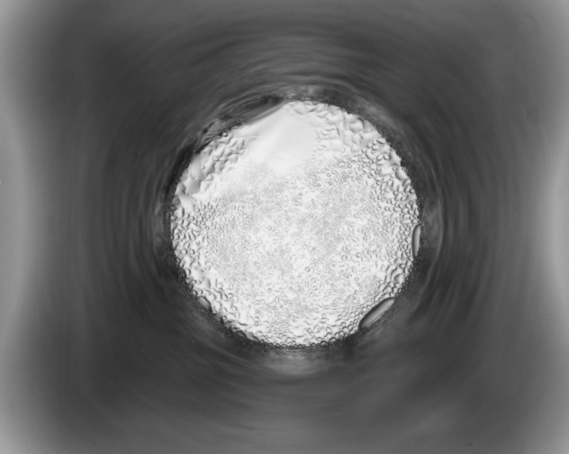 X0000086270381200704262021