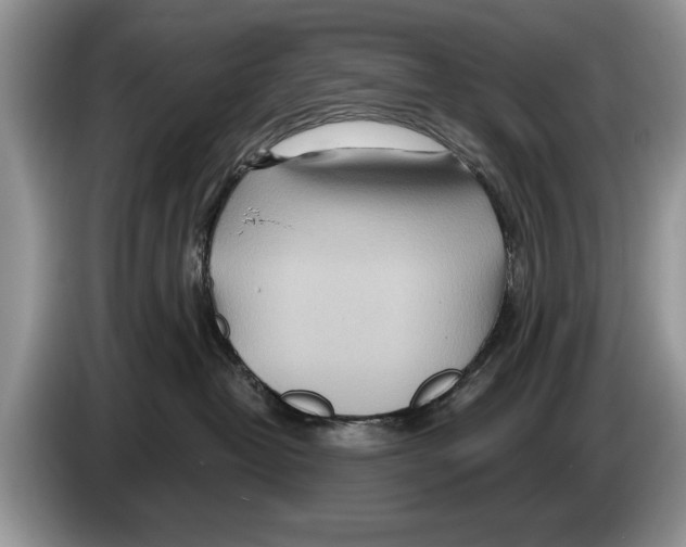 X0000086270382200704262021