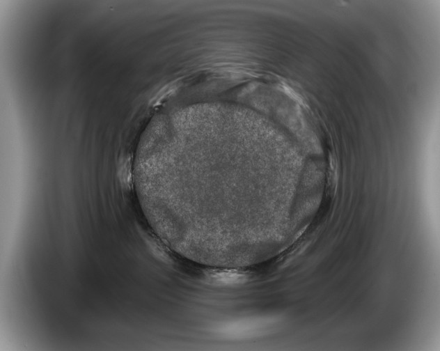 X0000086270383200704262021