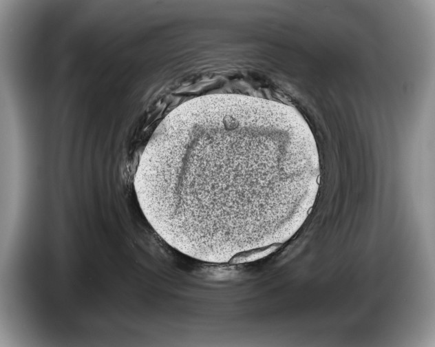 X0000086270384200704262021