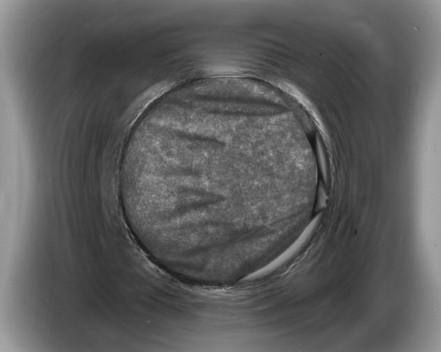 X0000086270385200704262020
