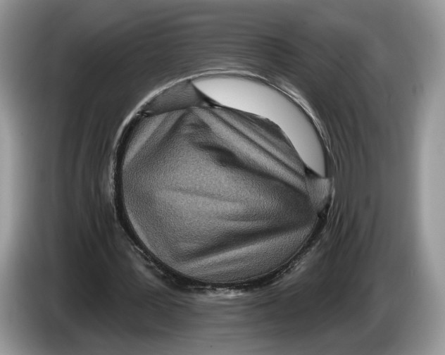 X0000086270387200704262020