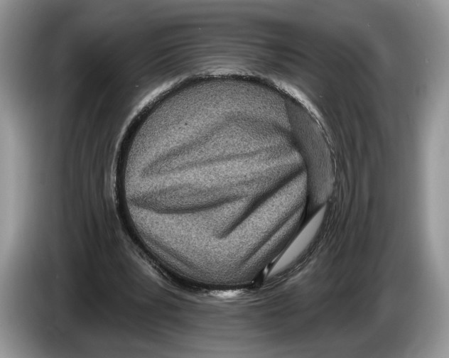 X0000086270391200704262020