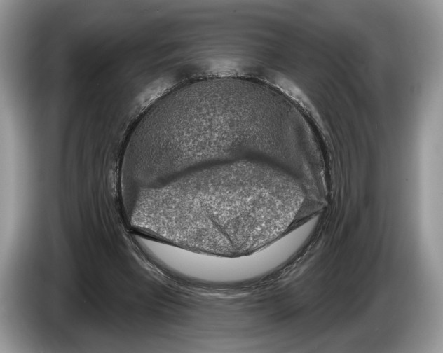 X0000086270393200704262020