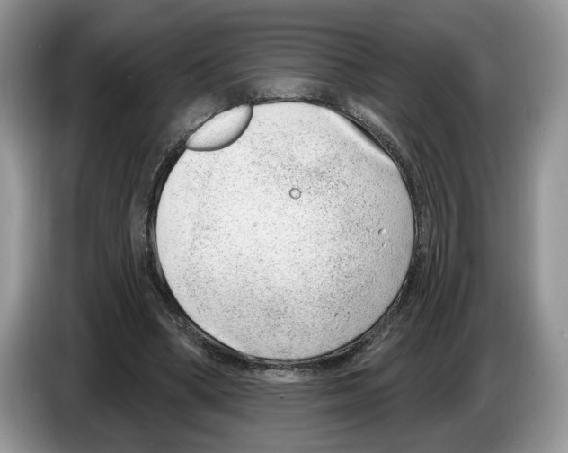 X0000086270394200704262020