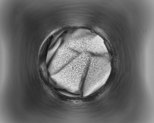 X0000086270395200704262020