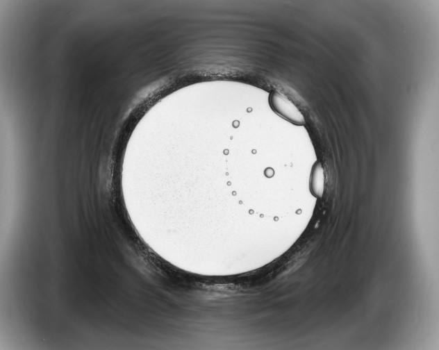 X0000086270396200704262020