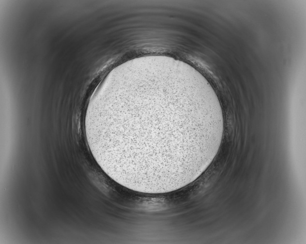 X0000086270398200704262020