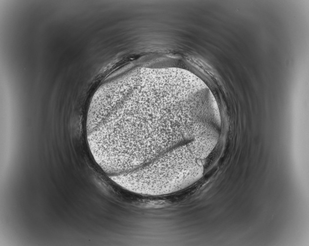 X0000086270401200704262020