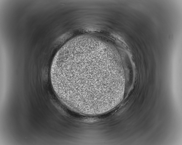 X0000086270402200704262020