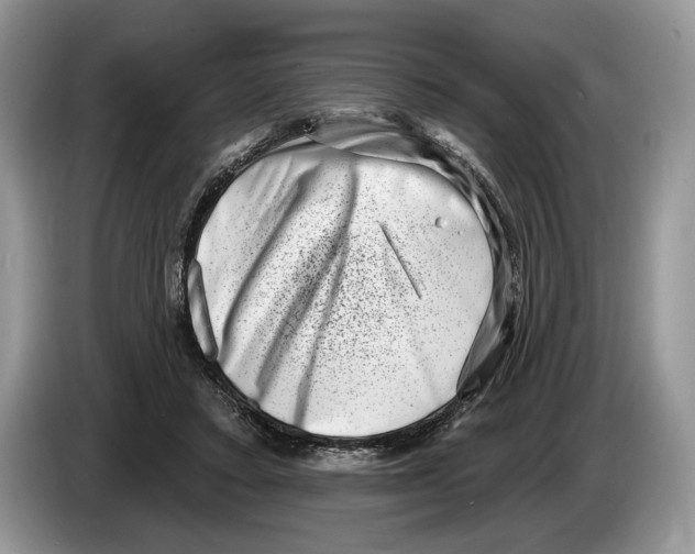 X0000086270403200704262020