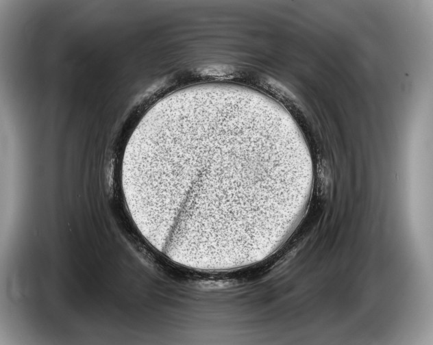 X0000086270404200704262020