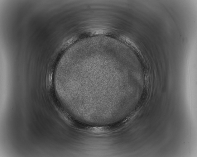 X0000086270406200704262020