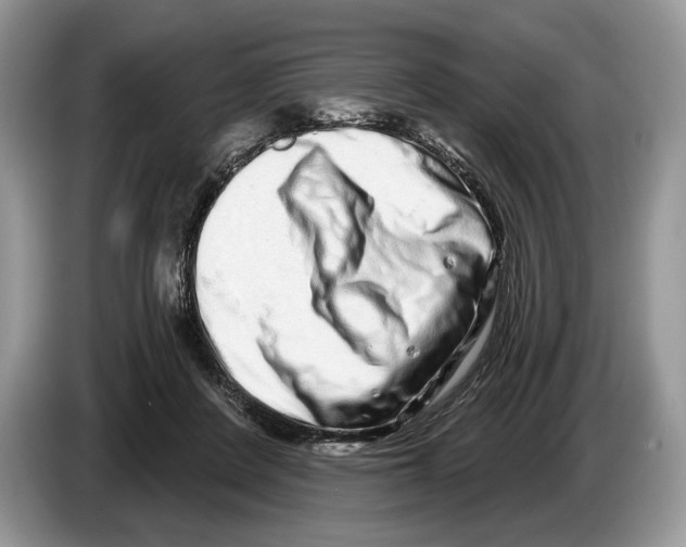 X0000086270408200704262020