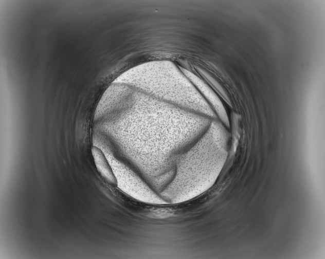 X0000086270409200704262020