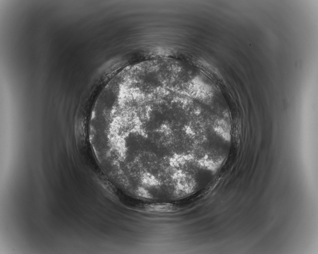 X0000086270410200704262020