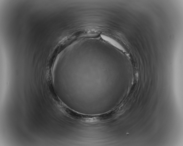 X0000086270411200704262020