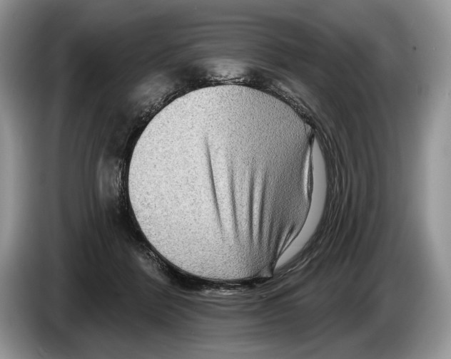 X0000086270412200704262020