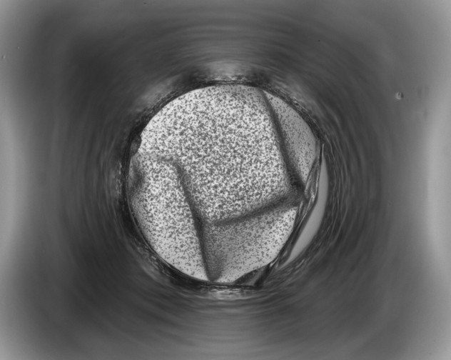 X0000086270413200704262020