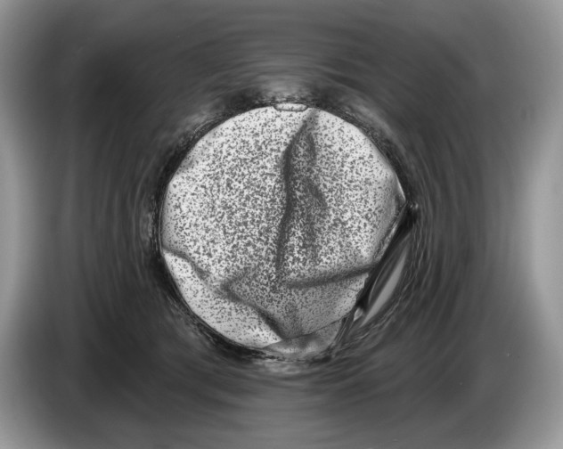 X0000086270417200704262020