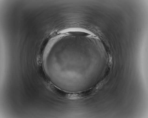 X0000086270419200704262020