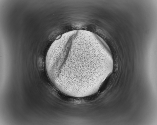 X0000086270420200704262020