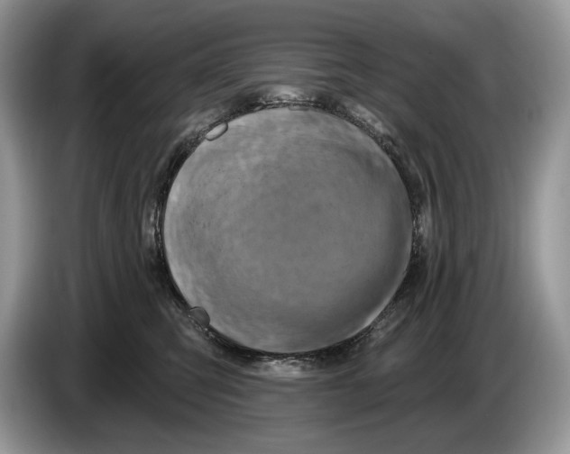 X0000086270423200704262020