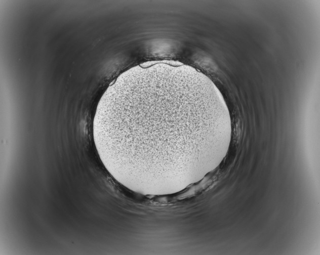 X0000086270424200704262020