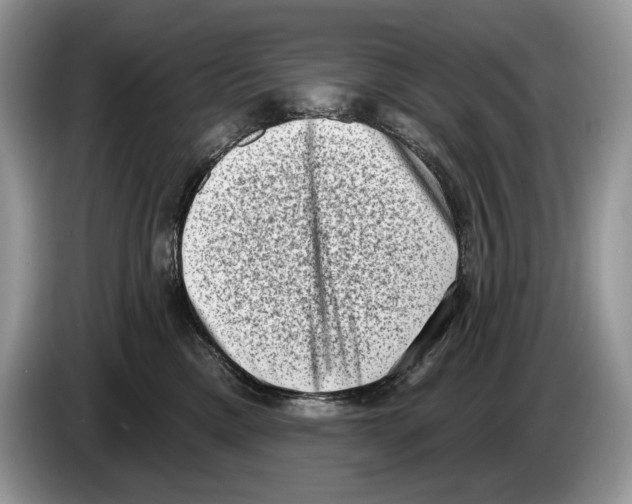 X0000086270425200704262020